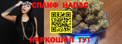 трава Бийск