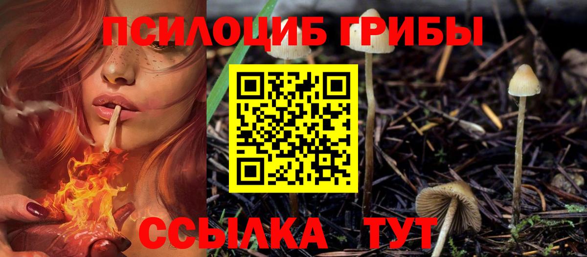Галлюциногенные грибы мицелий  Вход с VPN  Коломна 